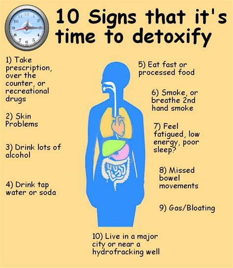 detoxication meaning